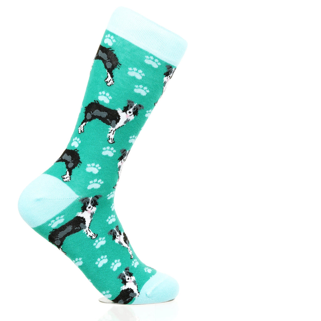 Border Collie | Plenty of Pups