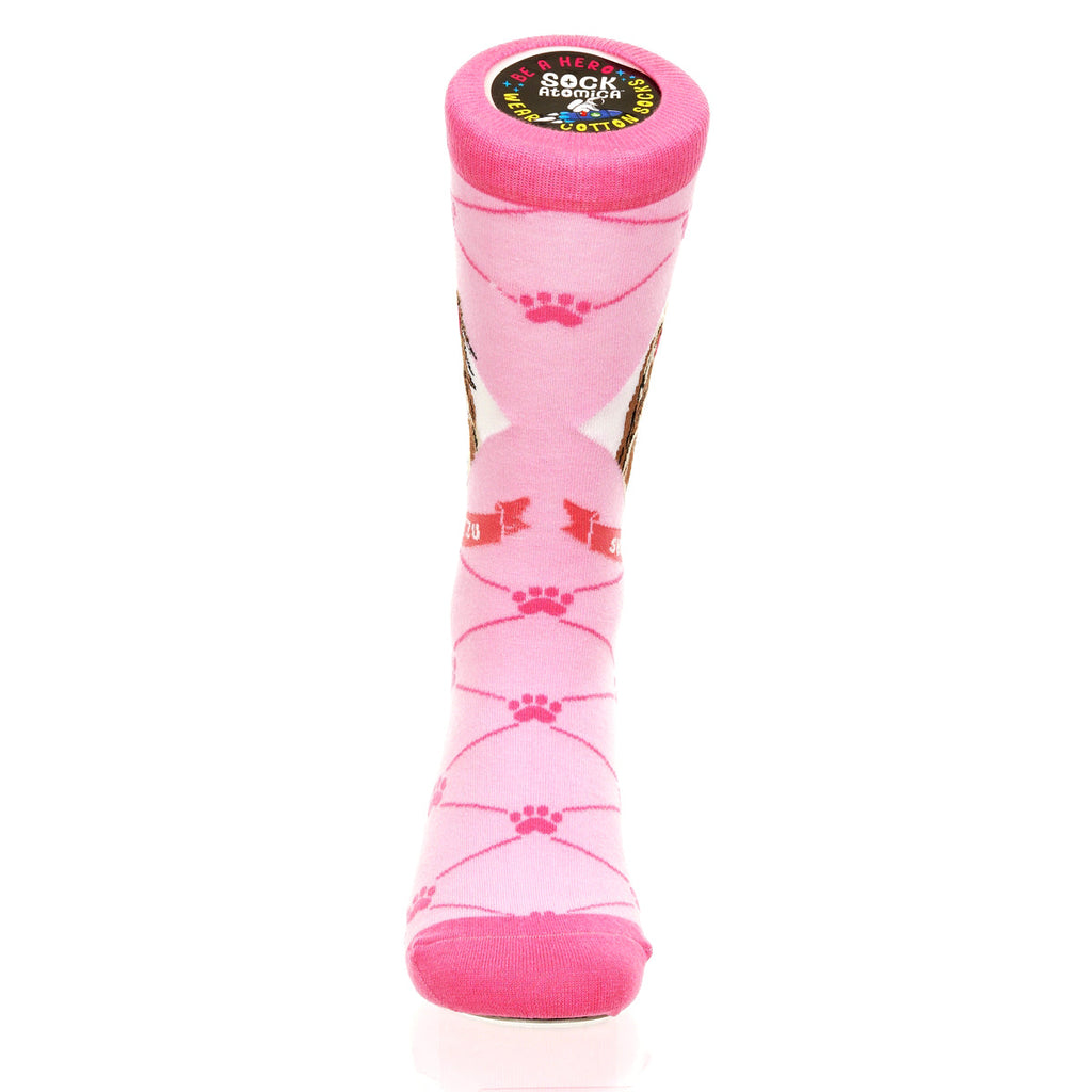 Shih Tzu | Argyle Pups