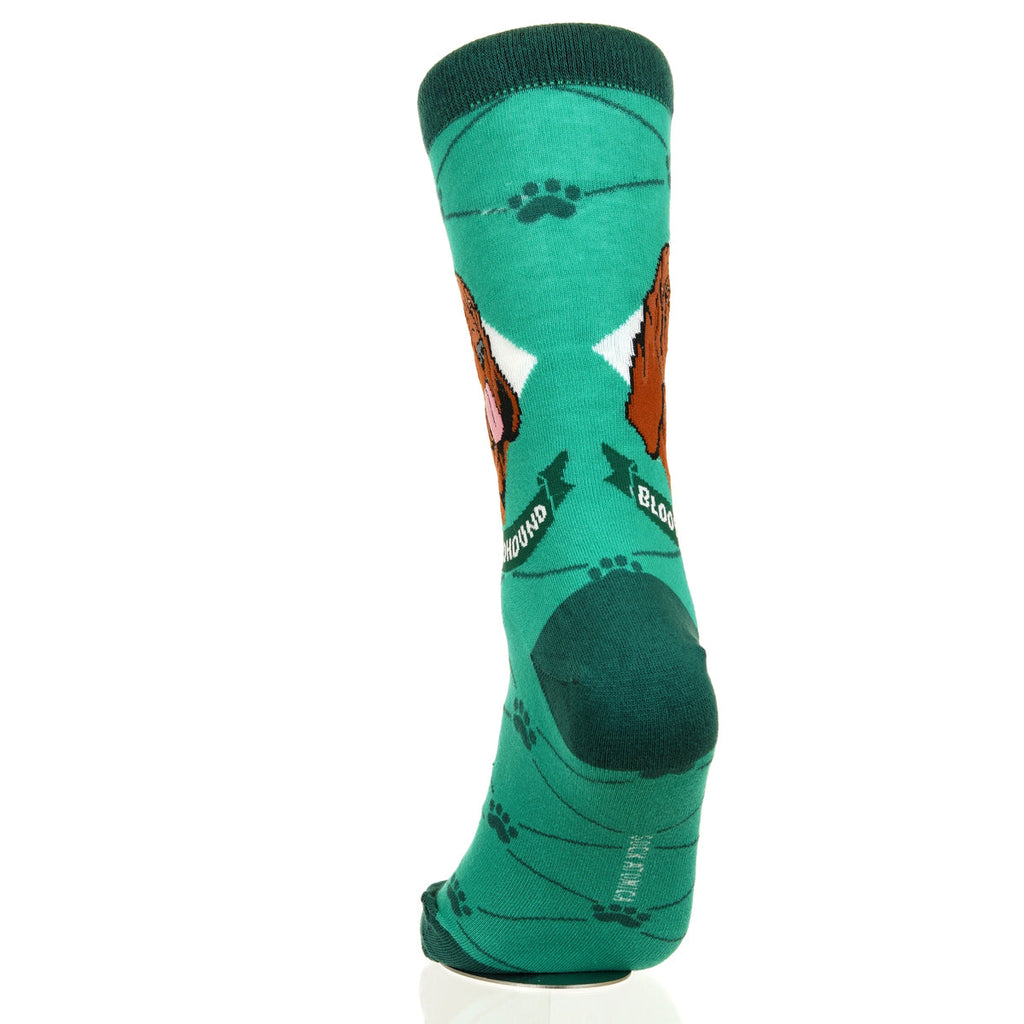 Bloodhound | Argyle Pups