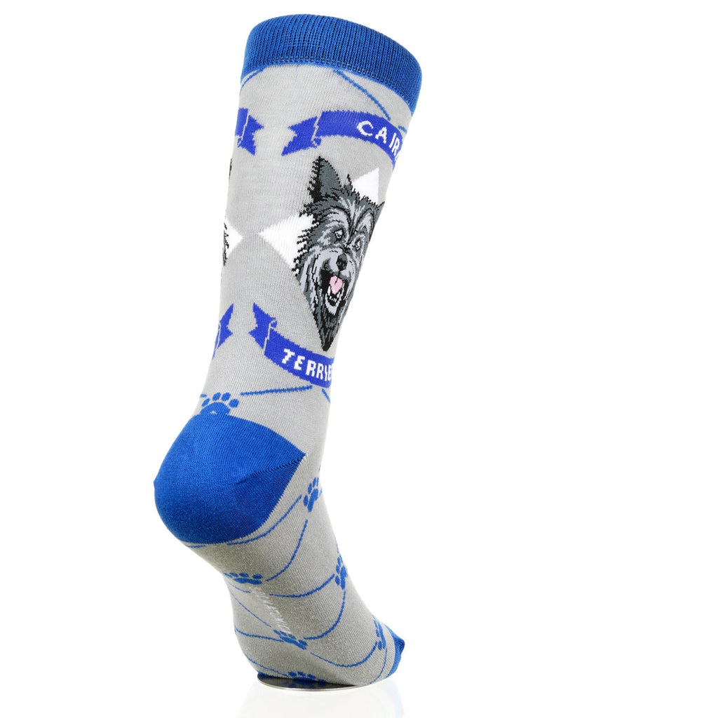 Cairn Terrier | Argyle Pups