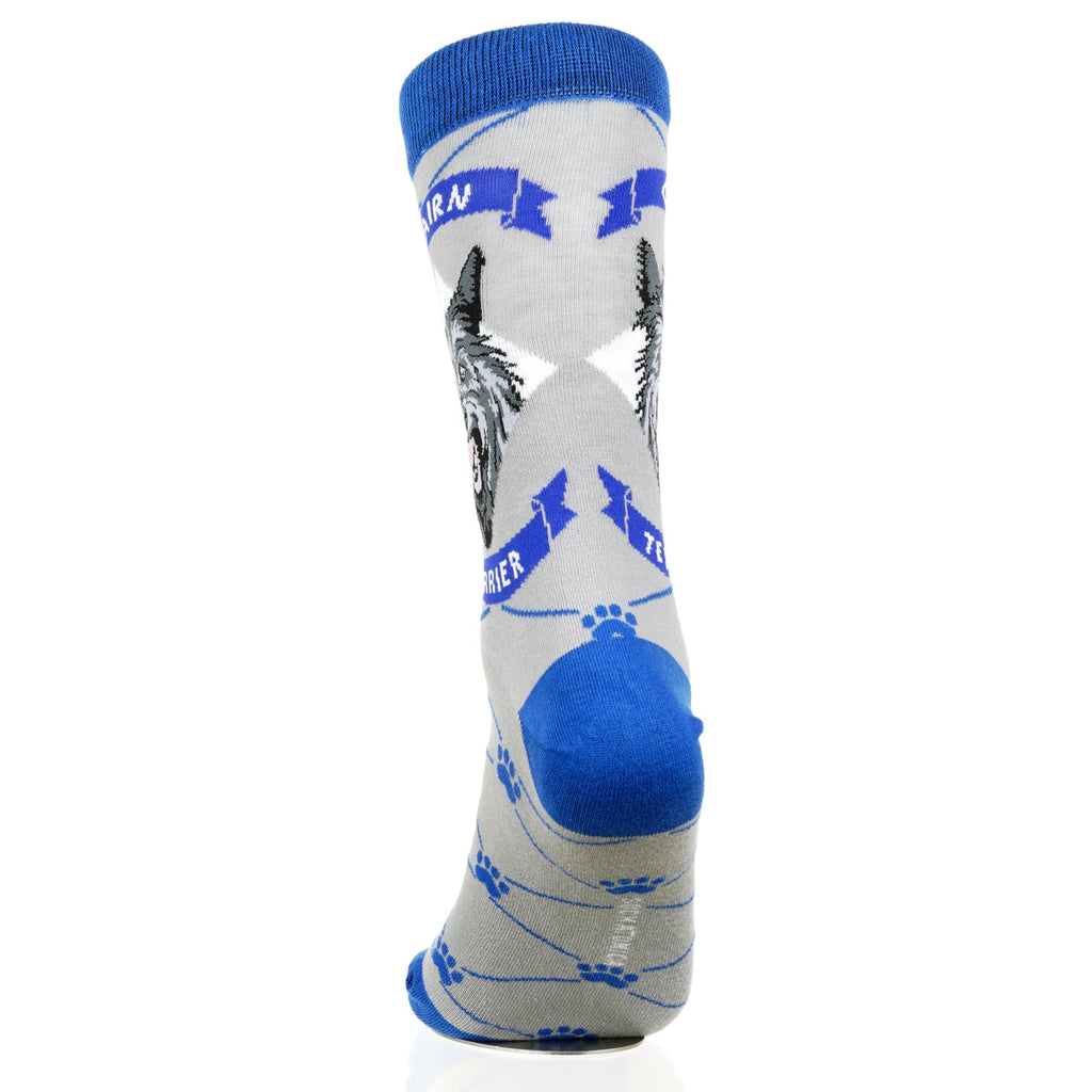 Cairn Terrier | Argyle Pups