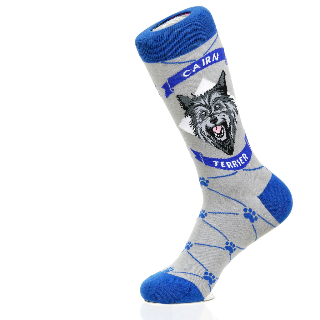 Cairn Terrier | Argyle Pups