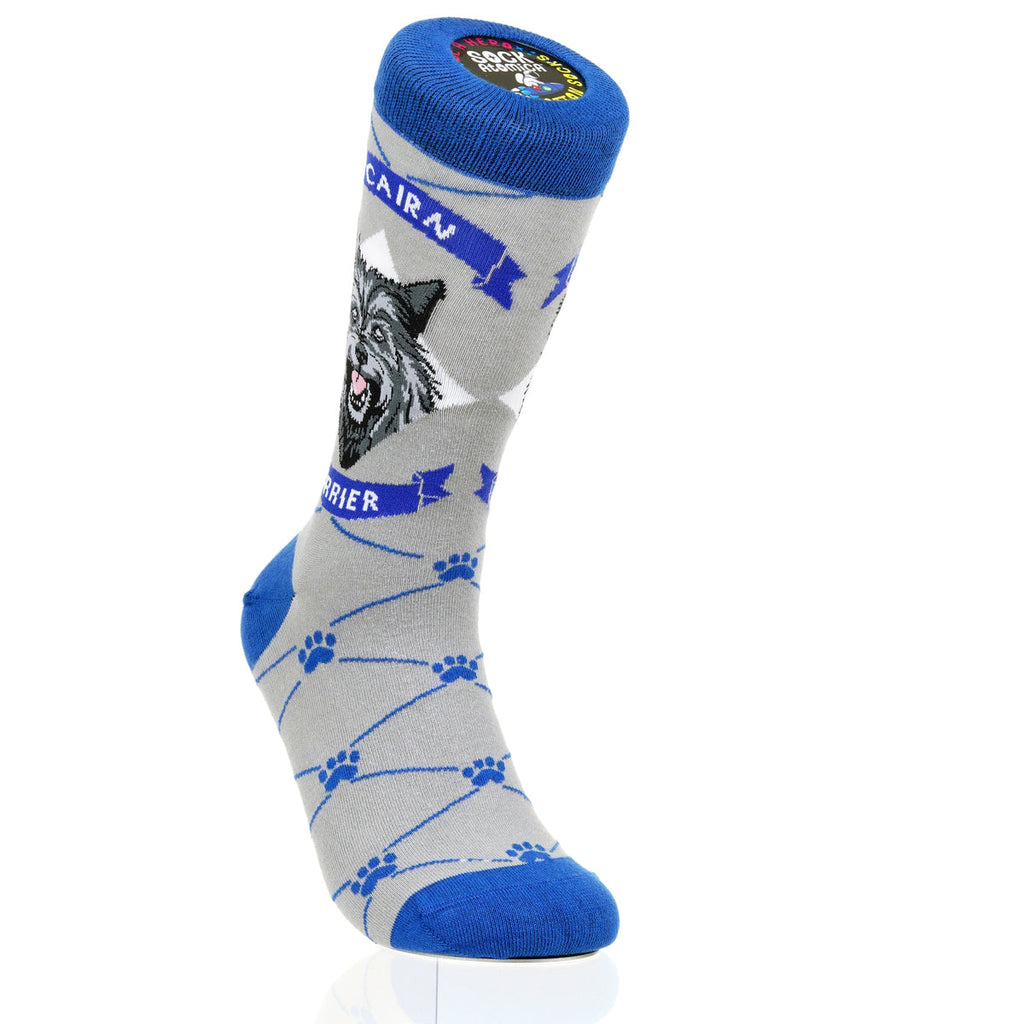 Cairn Terrier | Argyle Pups