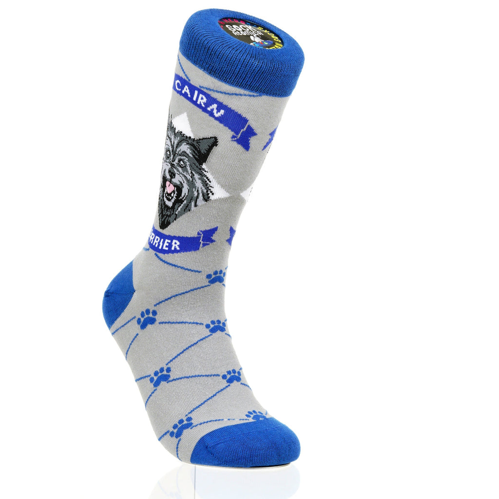 Cairn Terrier | Argyle Pups