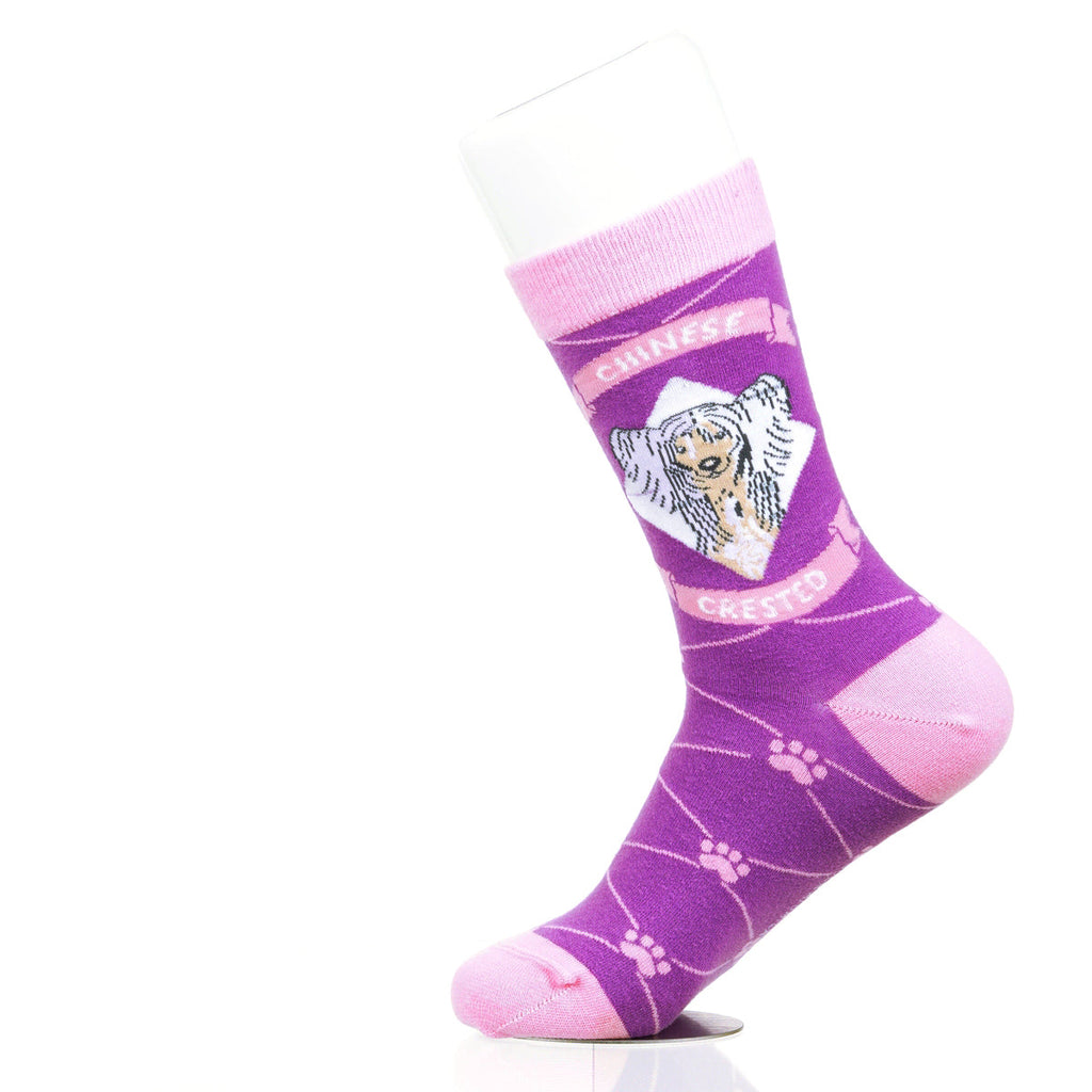 Chinese Crested | Argyle Pups