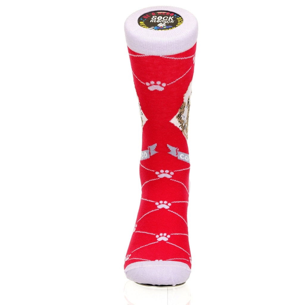 Cockapoo | Argyle Pups