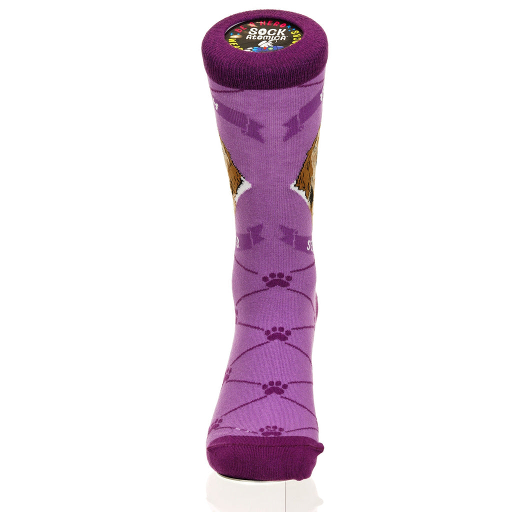 Irish Setter | Argyle Pups