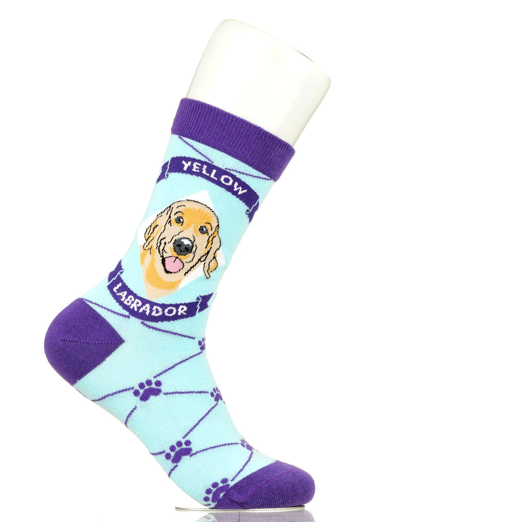 Labrador Yellow Lab | Argyle Pups