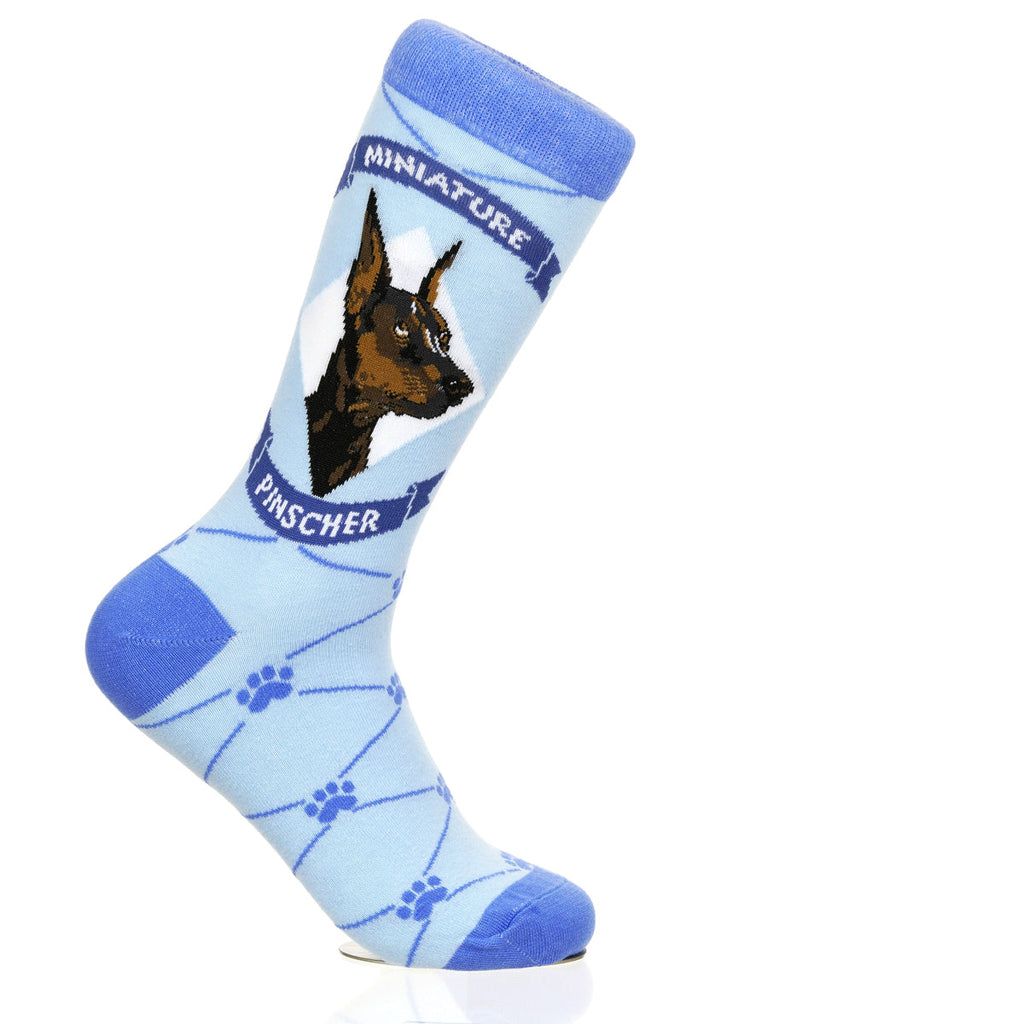 Miniature Pinscher | Argyle Pups