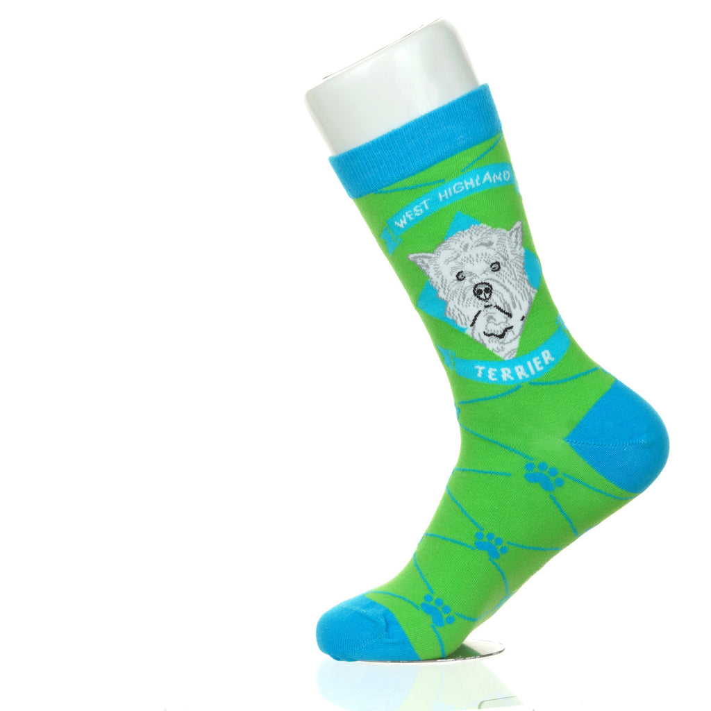 Westie / West Highland Terrier | Argyle Pups